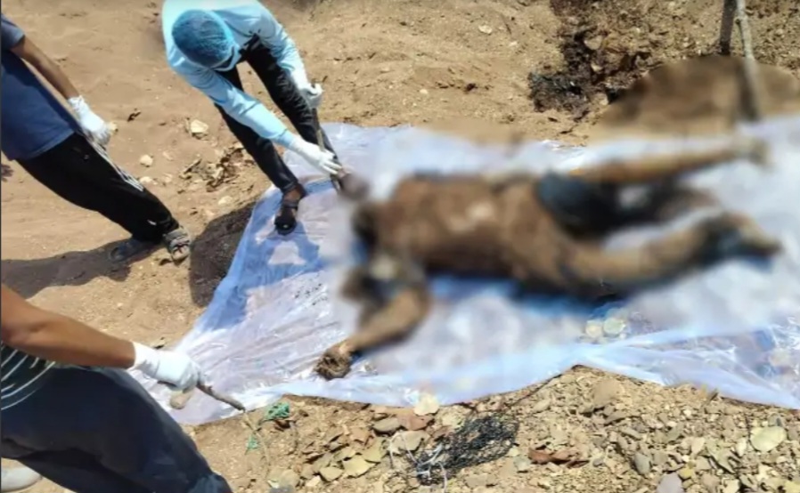 4 करोड़ की प्रॉपर्टी के लिए रची खौफनाक साजिश, छोटे भाई ने दी सुपारी, बड़े भाई की हत्या, 15 आरोपी गिरफ्तार 