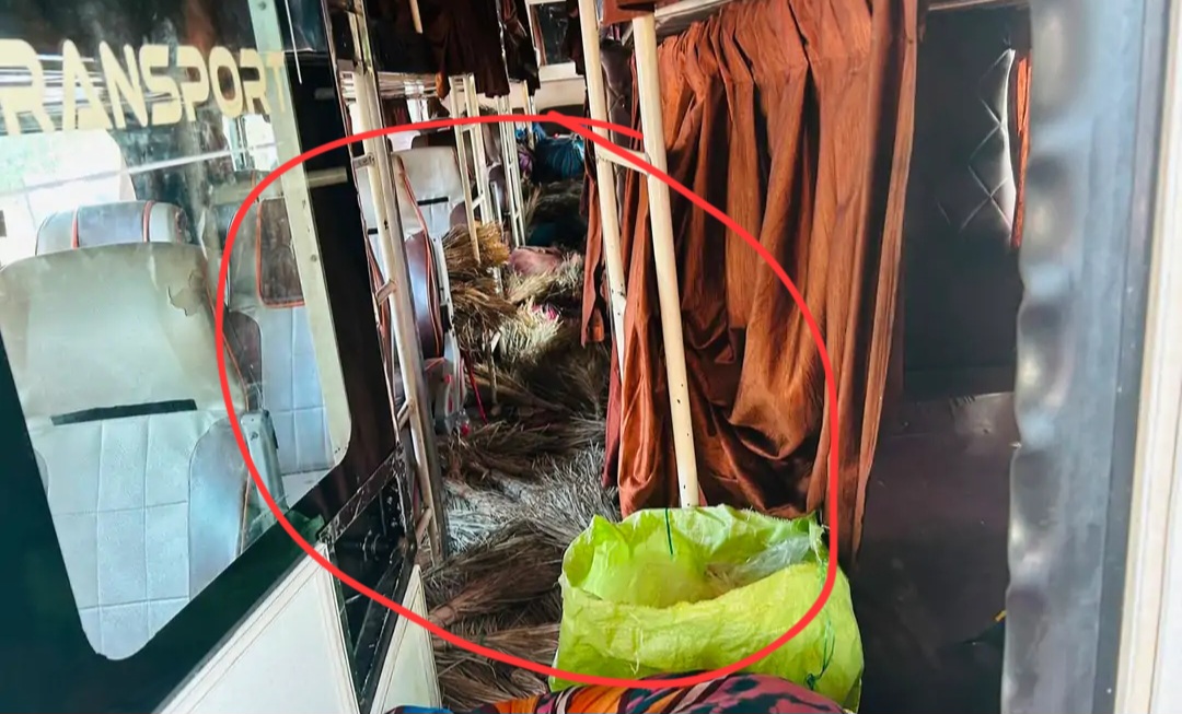 ब्रेकिंग : बस से 2 करोड़ का 20 क्विंटल गांजा जब्त; झाड़ू और कपड़ों की आड़ में कटनी भेजा जा रहा था नशा