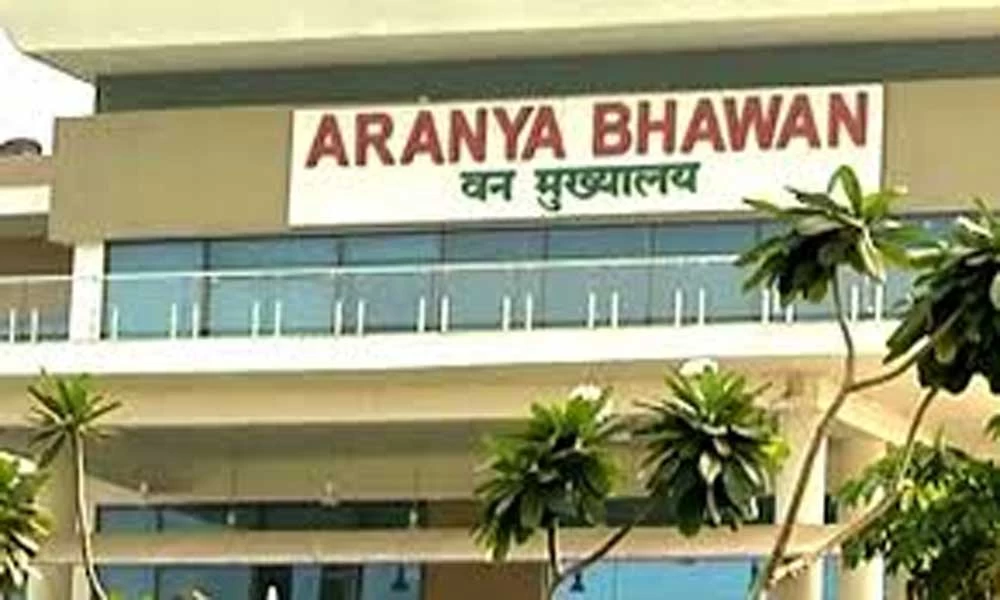 ब्रेकिंग : छत्तीसगढ़ में IFS-SFS अफसरों के तबादले: कई अधिकारियों को मिली नई जिम्मेदारी