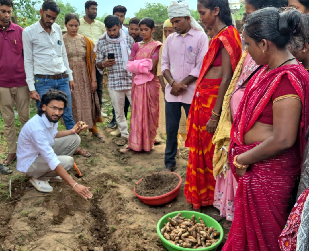 धमतरी का 'नगरी' बनेगा हल्दी उत्पादन का नया हब, 250 किसानों ने थामा वैज्ञानिक खेती का हाथ, 250 टन पैदावार का लक्ष्य