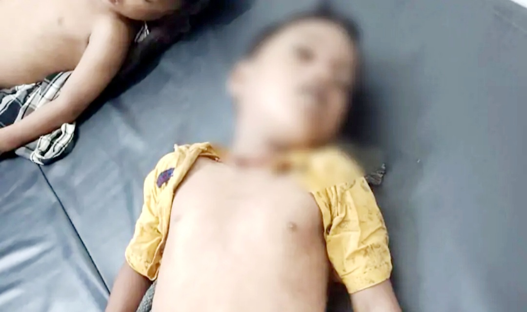 बिलासपुर में दर्दनाक हादसा: फोन पर बात करने में व्यस्त थे पिता, तालाब में डूबने से दो मासूम सगे भाइयों की मौत; छोटे को बचाने कूदा था बड़ा भाई