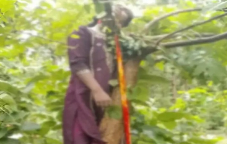 सूरजपुर-सरगुजा सीमा के जंगल में पेड़ से लटकी मिली प्रेमी जोड़े की लाश, मशरूम बीनने गए ग्रामीणों ने देखा... 